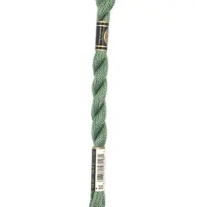 320-Fern-3