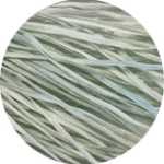 1042 Mint