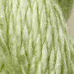 C-064- Daiquiri