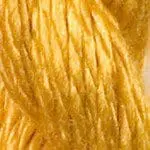 C-024- Dandelion