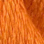 C-026- Nectarine