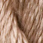 C-035- Champagne