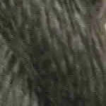 C-139- Elephant