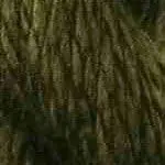 C-056- Green Moss