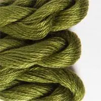 095-olive