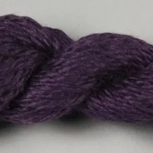 19 Eggplant