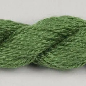 09 Zucchini