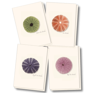 Sea Urchin Assortment