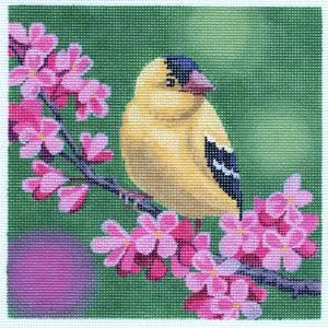 Gold Finch on Cherry Blossoms-6 " x 6" - 18 Mesh