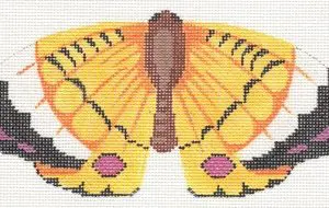 Gold and Black Butterfly-7.25" x 3.5" - 18 Mesh