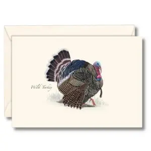 Wild Turkey
