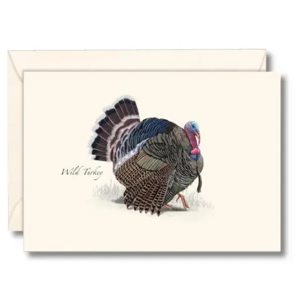 Wild Turkey