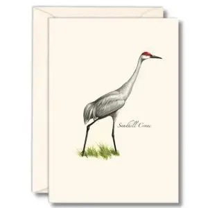 Sandhill Crane