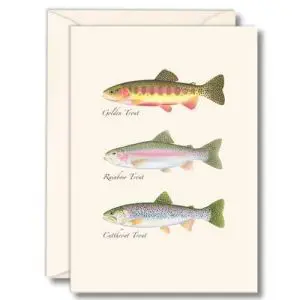 Western Trio Trout