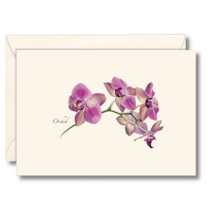 Orchid