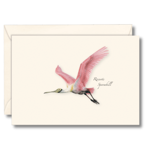 Roseate Spoonbill