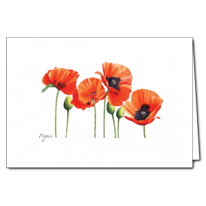 Poppies