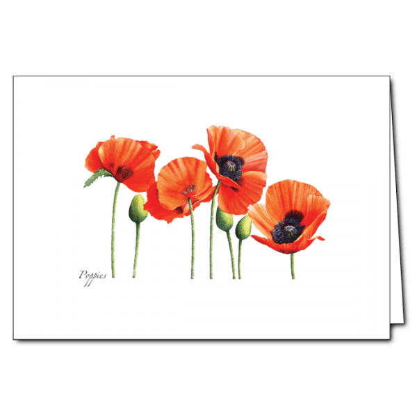 Poppies