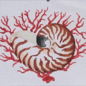 Nautilus Shell with Coral - 8.5" x 6.5" 13 Mesh