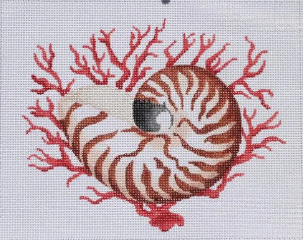 Nautilus Shell with Coral - 8.5" x 6.5" 13 Mesh