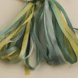 Paua Shell