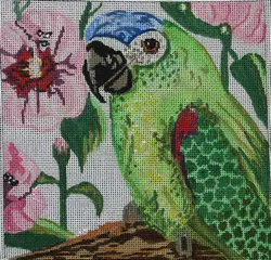 Patt-233-18m (Parrot)