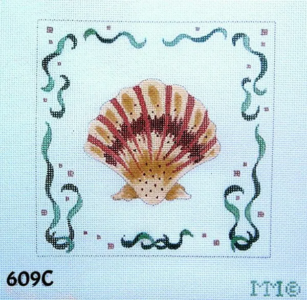 Scallop Shell 6" Square-18 Mesh