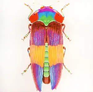 Big Bug Rainbow - 16 x 16" - 13 Mesh