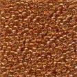 02041-Maple