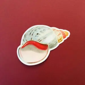 Vintage Colorful Sea Shell Sticker