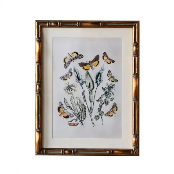 Burnley Matted Frame 4" x 6"