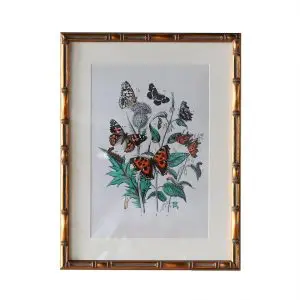 Burnley Matted Frame 5" x 7"