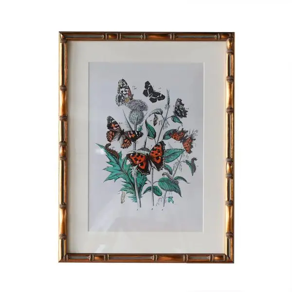 Burnley Matted Frame 5" x 7"
