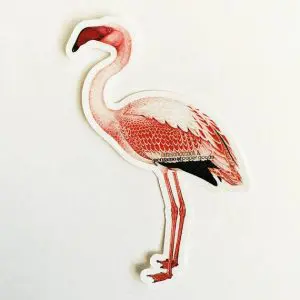 Vintage Flamingo Sticker