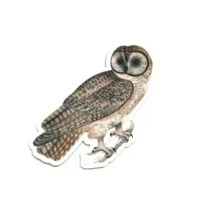 Vintage Owl Sticker