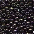 16004-Eggplant