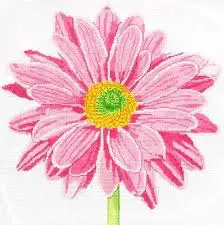 Powder Puff Daisy - 14" Square- 13 Mesh