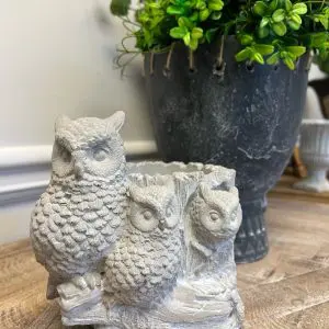 Cement Owl Planter
