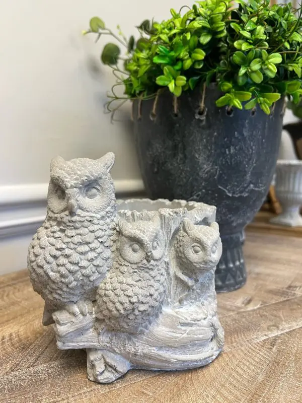 Cement Owl Planter