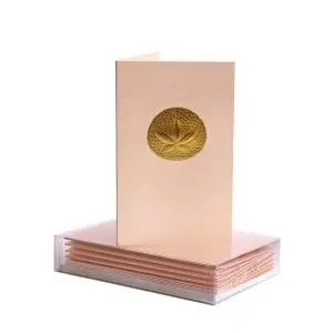 Sand Dollar Mini Note Cards Boxed Set