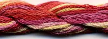 S-017 Mango Tango