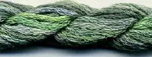 S-019 Rainforest