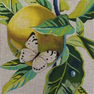 FF362B-White Butterfly On Apple-9x9 /18M