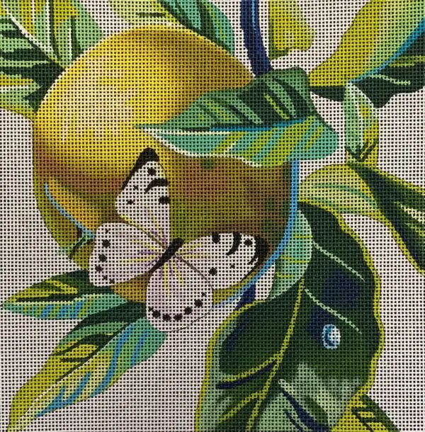 FF362B-White Butterfly On Apple-9x9 /18M
