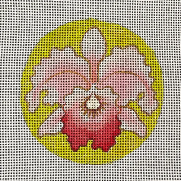 IN807-Orchid-5'' round / 18M