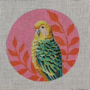 IN809-Parakeet-5'' round / 18M