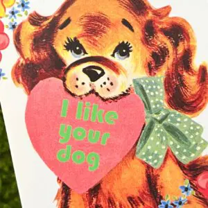 I Like Your Dog Funny Card - Love Valentine Everyday Card