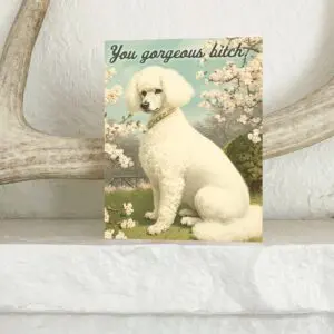 You Gorgeous Bitch Funny Dog Card - Encouragement Love