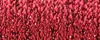 003HL - Red High Lustre-#4 Braid