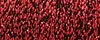 061 - Ruby-#4 Braid